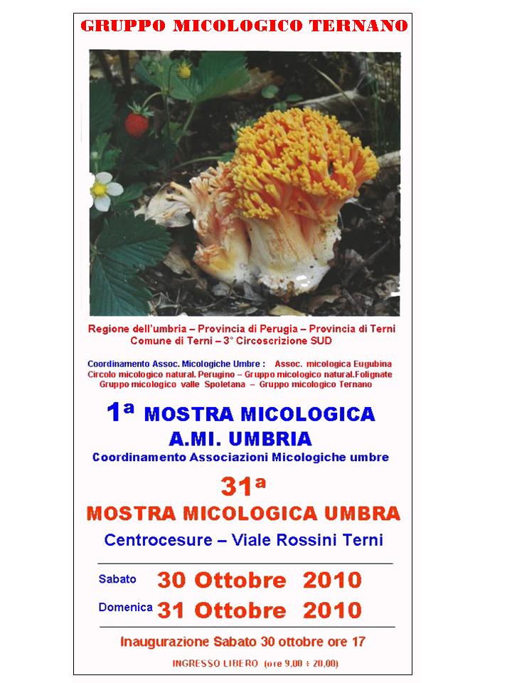 1° Mostra micologica A.MI.Umbria